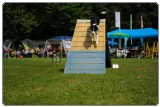 Agility 2011 - KD Slovenska Bistrica DSC 0840