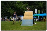 Agility 2011 - KD Slovenska Bistrica DSC 0843