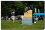 Agility 2011 - KD Slovenska Bistrica DSC 0844