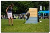 Agility 2011 - KD Slovenska Bistrica DSC 0845