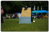 Agility 2011 - KD Slovenska Bistrica DSC 0847