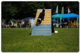 Agility 2011 - KD Slovenska Bistrica DSC 0848 Agility 2011 - KD Slovenska Bistrica DSC 0848