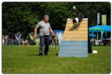 Agility 2011 - KD Slovenska Bistrica DSC 0851