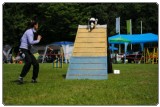 Agility 2011 - KD Slovenska Bistrica DSC 0854