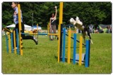 Agility 2011 - KD Slovenska Bistrica DSC 0856 Agility 2011 - KD Slovenska Bistrica DSC 0856