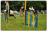 Agility 2011 - KD Slovenska Bistrica DSC 0856