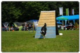 Agility 2011 - KD Slovenska Bistrica DSC 0859