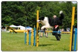 Agility 2011 - KD Slovenska Bistrica DSC 0862 Agility 2011 - KD Slovenska Bistrica DSC 0862