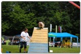 Agility 2011 - KD Slovenska Bistrica DSC 0898