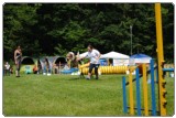 Agility 2011 - KD Slovenska Bistrica DSC 0900