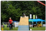 Agility 2011 - KD Slovenska Bistrica DSC 0901