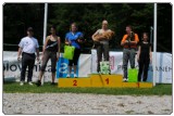 Agility 2011 - KD Slovenska Bistrica DSC 0928