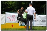 Agility 2011 - KD Slovenska Bistrica DSC 0955