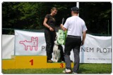 Agility 2011 - KD Slovenska Bistrica DSC 0956