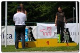Agility 2011 - KD Slovenska Bistrica DSC 0960 Agility 2011 - KD Slovenska Bistrica DSC 0960