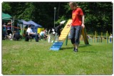 Agility 2011 - KD Slovenska Bistrica DSC 1089