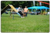 Agility 2011 - KD Slovenska Bistrica DSC 1127