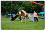 Agility 2011 - KD Slovenska Bistrica DSC 1128