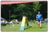 Agility 2011 - KD Slovenska Bistrica DSC 1149