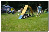 Agility 2011 - KD Slovenska Bistrica DSC 1188