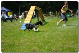 Agility 2011 - KD Slovenska Bistrica DSC 1194