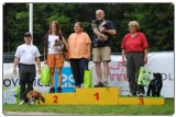 Agility 2011 - KD Slovenska Bistrica DSC 1282