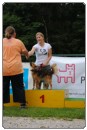Agility 2011 - KD Slovenska Bistrica DSC 1289 Agility 2011 - KD Slovenska Bistrica DSC 1289