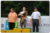 Agility 2011 - KD Slovenska Bistrica DSC 1296