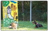Ustvarjalni dan na KD Slovenska Bistrica KD-poslikava 134 Ustvarjalni dan na KD Slovenska Bistrica KD-poslikava 134