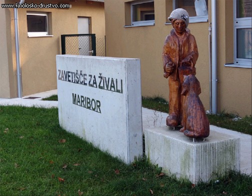 Zbiranje stvari za Azil Maribor - dostava IMG 0269