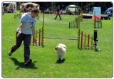 3. tekma za drzavno prvenstvo v agility 2012 25 3. tekma za drzavno prvenstvo v agility 2012 25