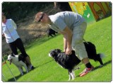 3. tekma za drzavno prvenstvo v agility 2012 26 3. tekma za drzavno prvenstvo v agility 2012 26