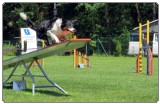 3. tekma za drzavno prvenstvo v agility 2012 8 3. tekma za drzavno prvenstvo v agility 2012 8
