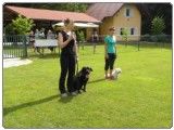 Izpiti pomlad 2015 mini- 06 13 2015 21 
