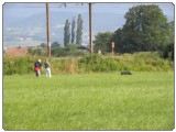 Izpiti pomlad 2015 mini- 06 13 2015 8 