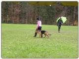 FINALE POKALA VOMAR 2016 mini-DSCN3132 FINALE POKALA VOMAR 2016 mini-DSCN3132