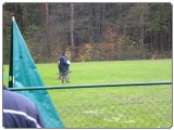 FINALE POKALA VOMAR 2016 mini-DSCN3191 FINALE POKALA VOMAR 2016 mini-DSCN3191