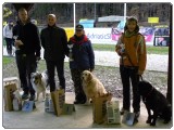FINALE POKALA VOMAR 2016 mini-DSCN3329 FINALE POKALA VOMAR 2016 mini-DSCN3329