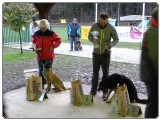 FINALE POKALA VOMAR 2016 mini-DSCN3361 FINALE POKALA VOMAR 2016 mini-DSCN3361