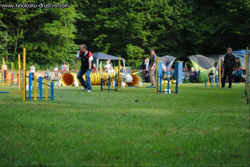 Agility 2011 - KD Slovenska Bistrica DSC 0341