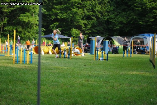 Agility 2011 - KD Slovenska Bistrica DSC 0365