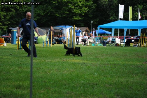Agility 2011 - KD Slovenska Bistrica DSC 0385