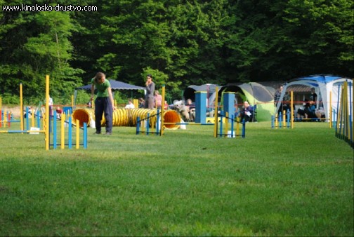 Agility 2011 - KD Slovenska Bistrica DSC 0392