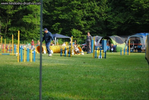 Agility 2011 - KD Slovenska Bistrica DSC 0402