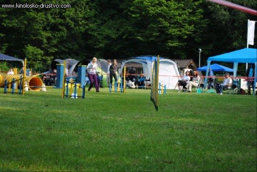 Agility 2011 - KD Slovenska Bistrica DSC 0403