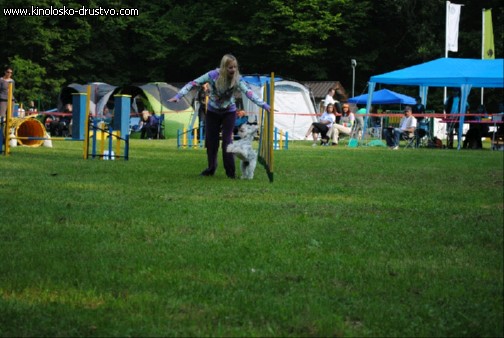 Agility 2011 - KD Slovenska Bistrica DSC 0410