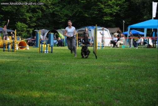 Agility 2011 - KD Slovenska Bistrica DSC 0417