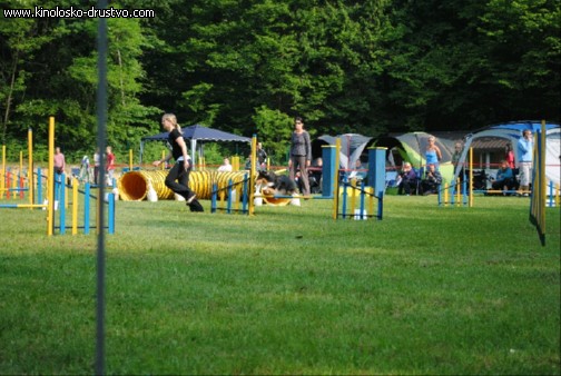 Agility 2011 - KD Slovenska Bistrica DSC 0431