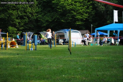 Agility 2011 - KD Slovenska Bistrica DSC 0432