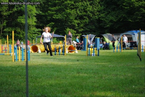 Agility 2011 - KD Slovenska Bistrica DSC 0443
